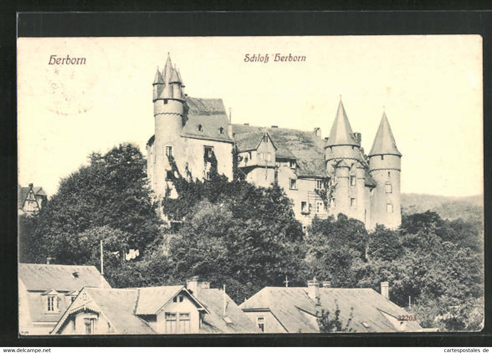 AK Herborn, Blick Auf Das Schloss - Herborn