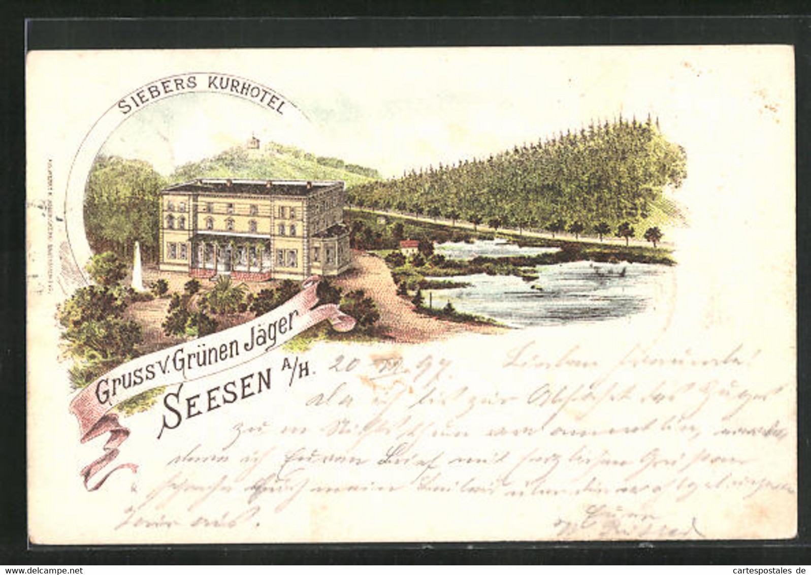 Lithographie Seesen A. H., Siebers Kurhotel Grüner Jäger Mit Umgebung - Seesen