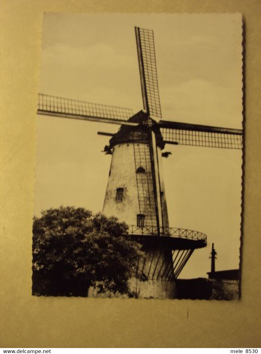 051 - DEERLIJK - DE MOLEN - UITG. DONCKELS-LECOT - ZIE 2 FOTO'S - Deerlijk