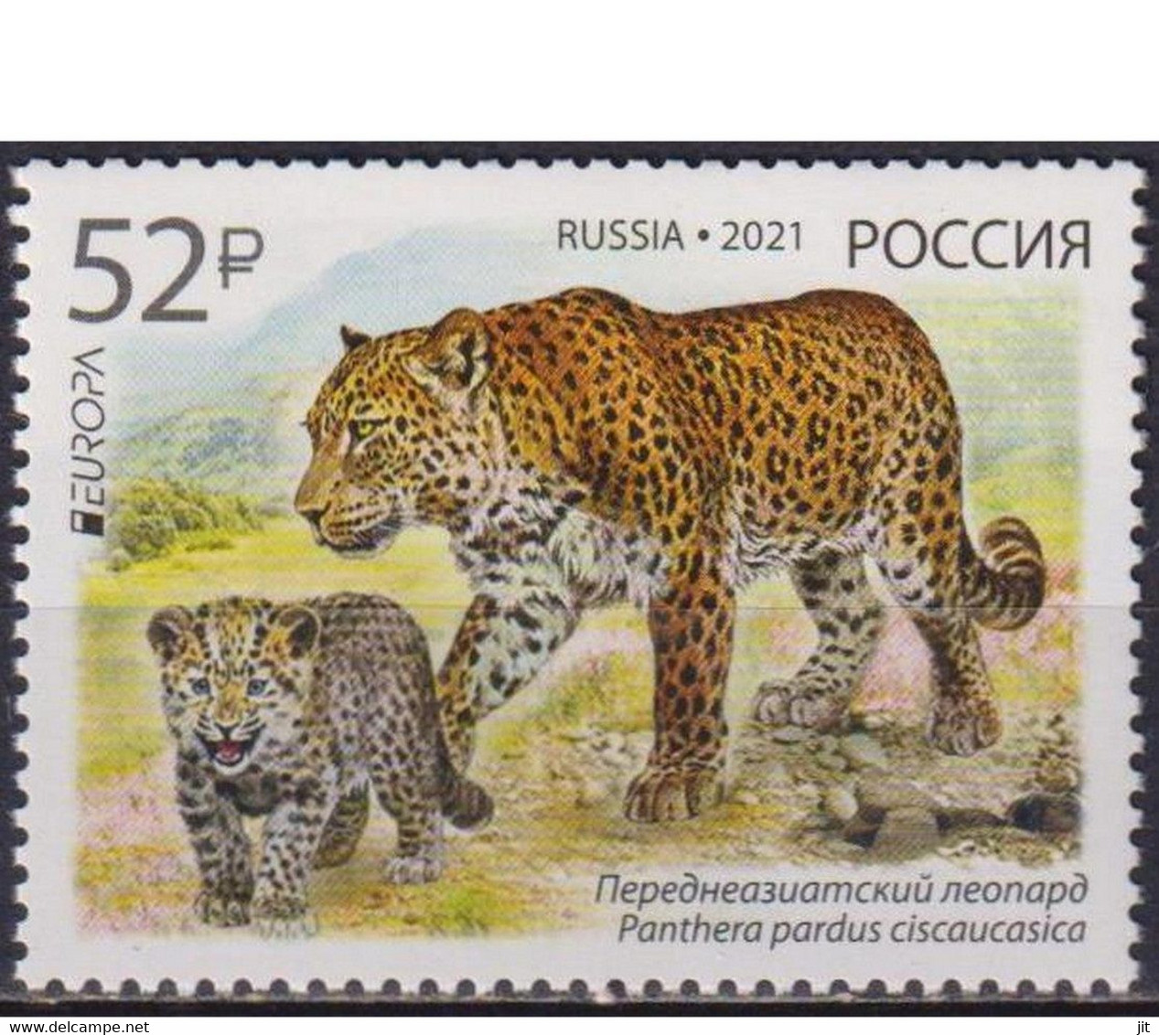 163. RUSSIA 2021 STAMP EUROPA, ENDANGERED ANIMAL, LEOPARD.MNH - Neufs