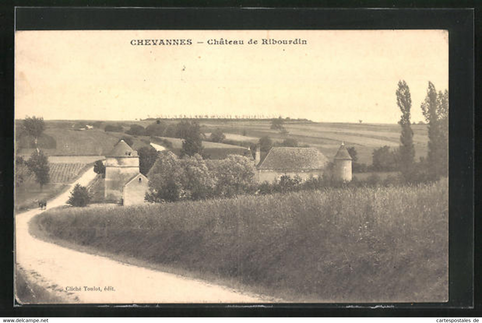 CPA Chevannes, Château De Ribourdin - Chevannes
