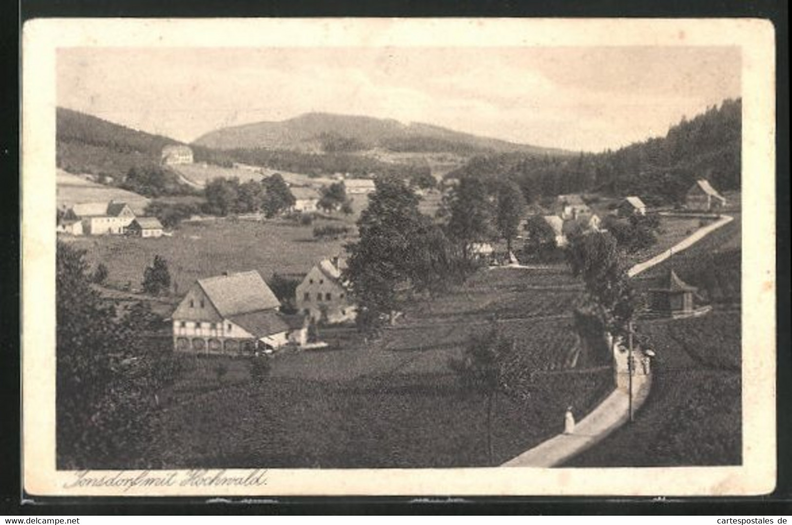 AK Jonsdorf, Ortspartie Mit Hochwald - Jonsdorf