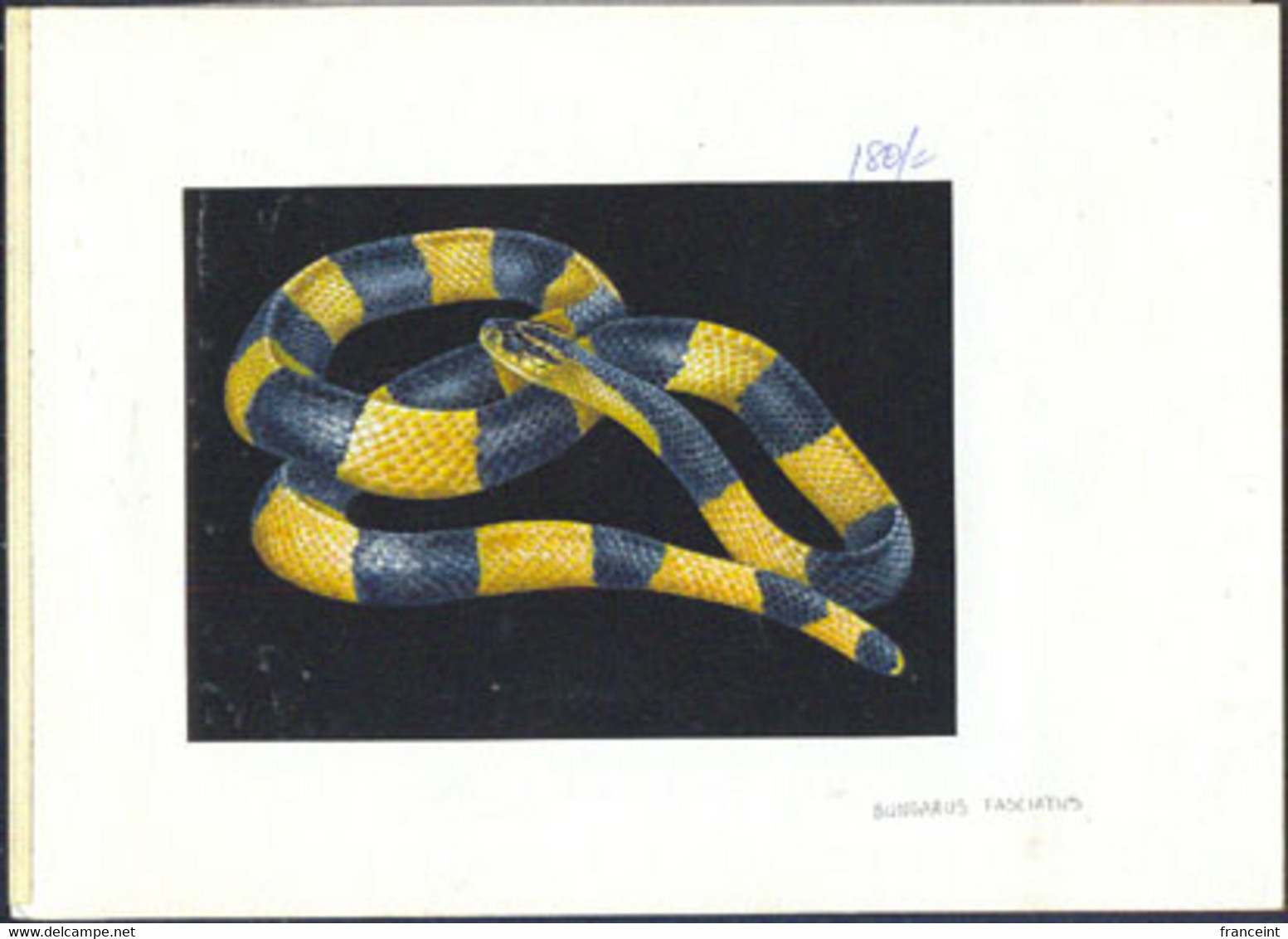 TANZANIA (1996) Banded Krait (Bungarus Fasciatus).  Original Artwork, Watercolor On Posterboard. Scott 1473 - Tansania (1964-...)