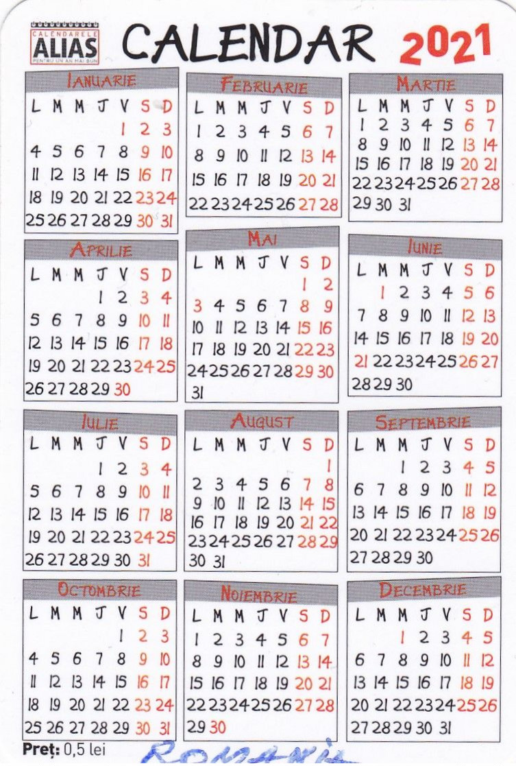 CALENDRIER CALANDRAR CAT CHAT ROUMANIA 2021 - Petit Format : 2001-...