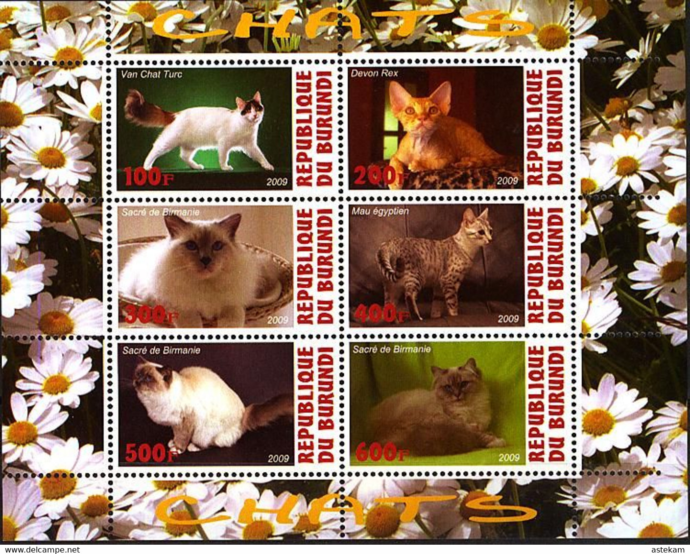 BURUNDI 2009, FAUNA, CATS, COMPLETE, MNH SETS In SMALL SHEET With GOOD QUALITY, *** - Nuevos