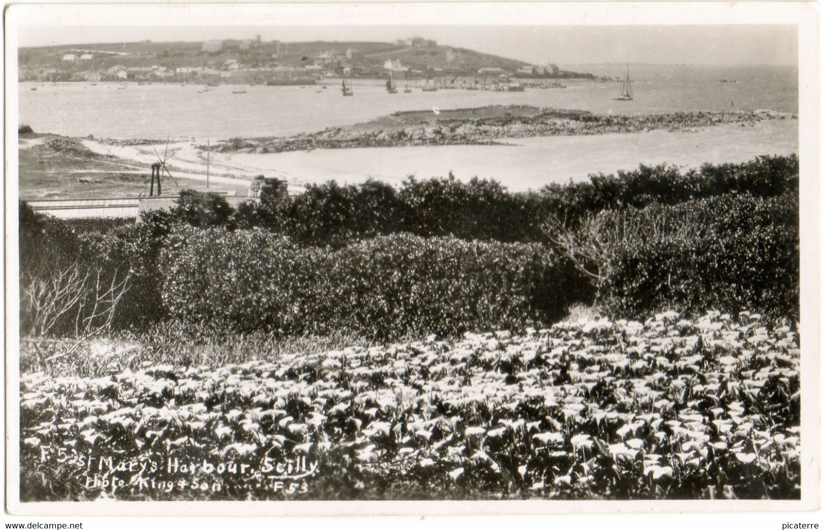 St.Mary's Harbour,Scilly (Neptune Series By C.King No.F53-T.W.Adams) Real Photograph - Scilly Isles