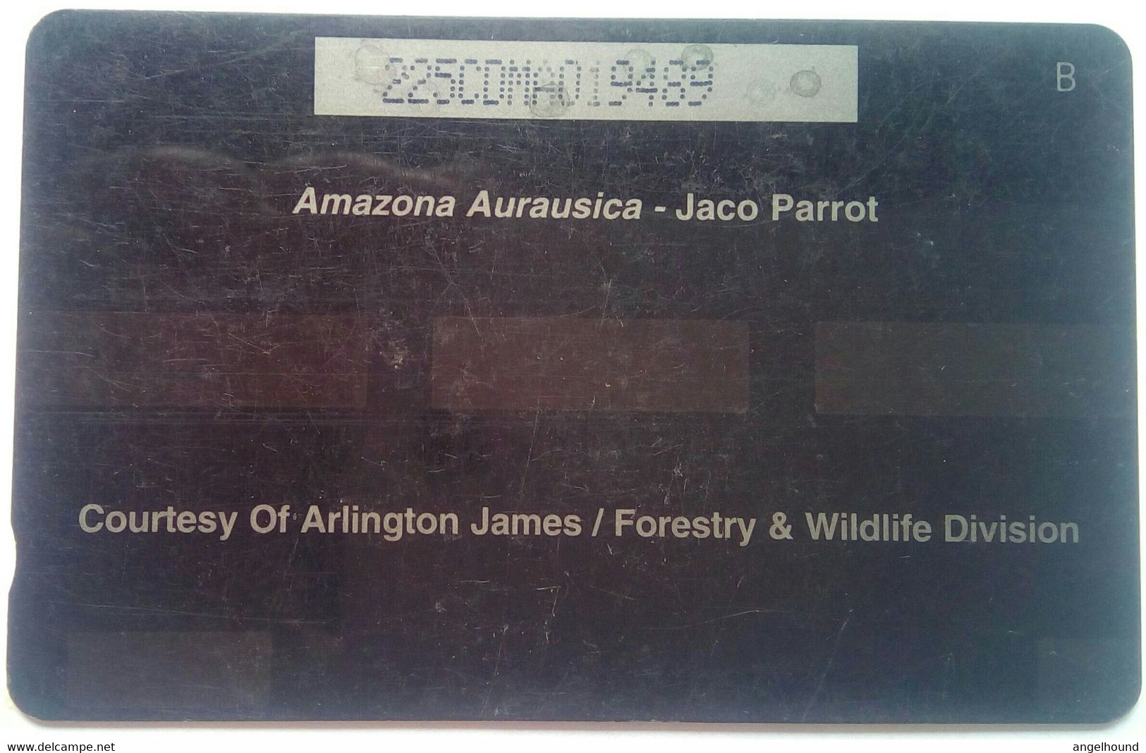 Dominica 225CDMA Amazona Aurausica (Jaco Parrott) - Dominica