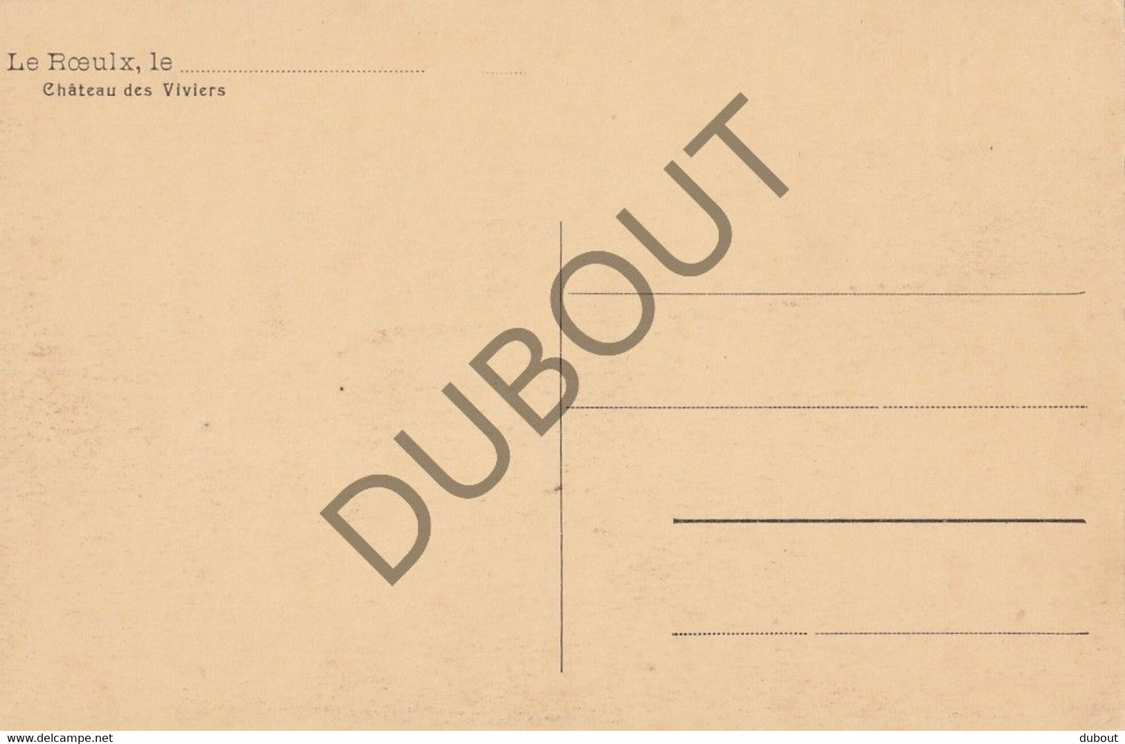 LE ROEULX - Postkaart-Carte Postale - Château Des Viviers  (C779) - Le Roeulx
