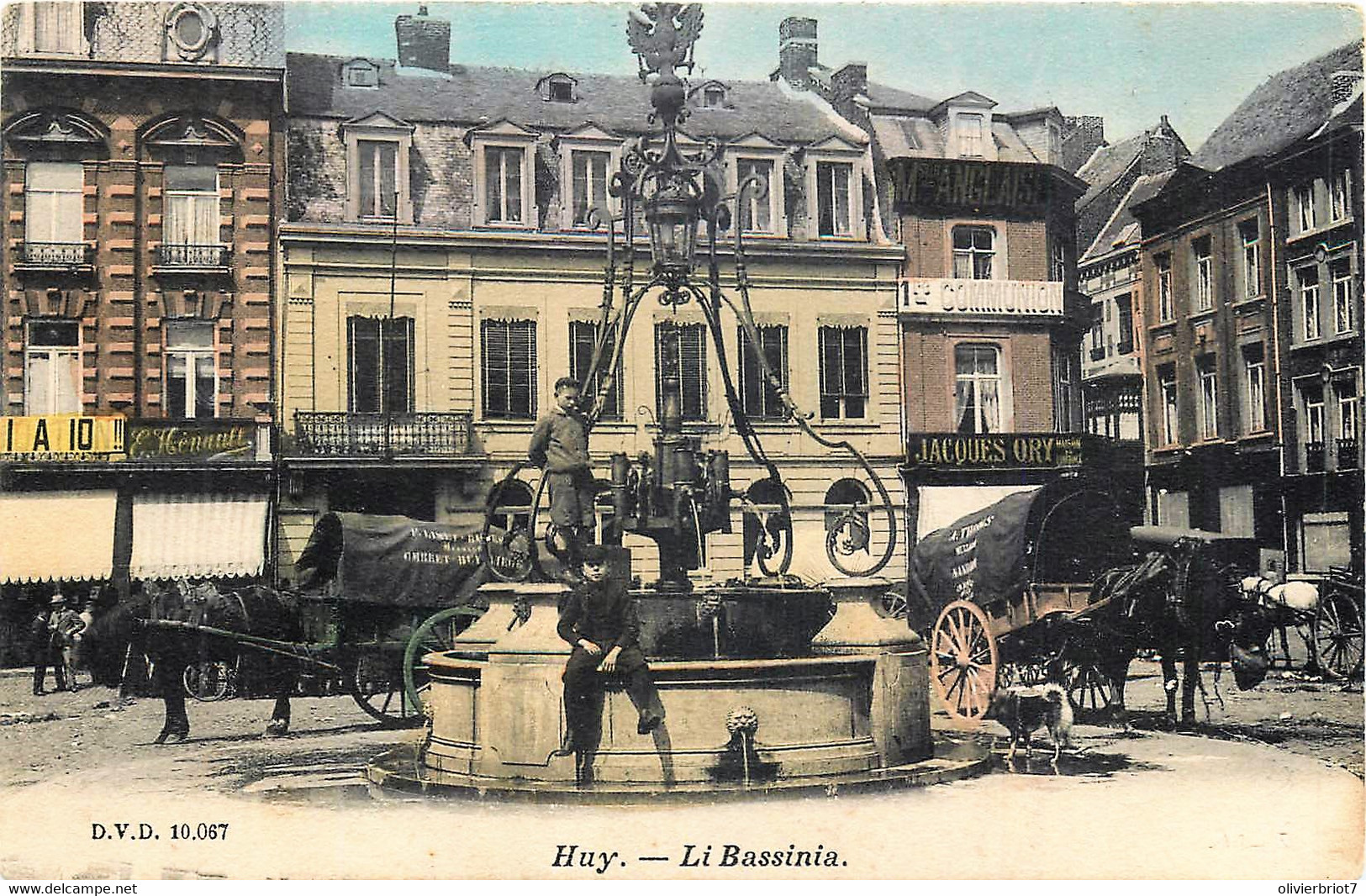 Belgique - Huy - '' Li Bassinia '' Attelages - D.V.D. 10.067 -  Couleurs - Huy