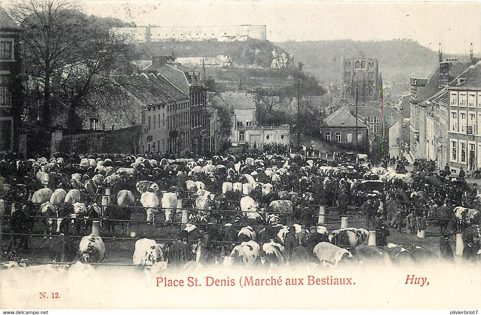 Belgique - Huy - Place St. Denis ( Marché Aux Bestiaux ) - Huy