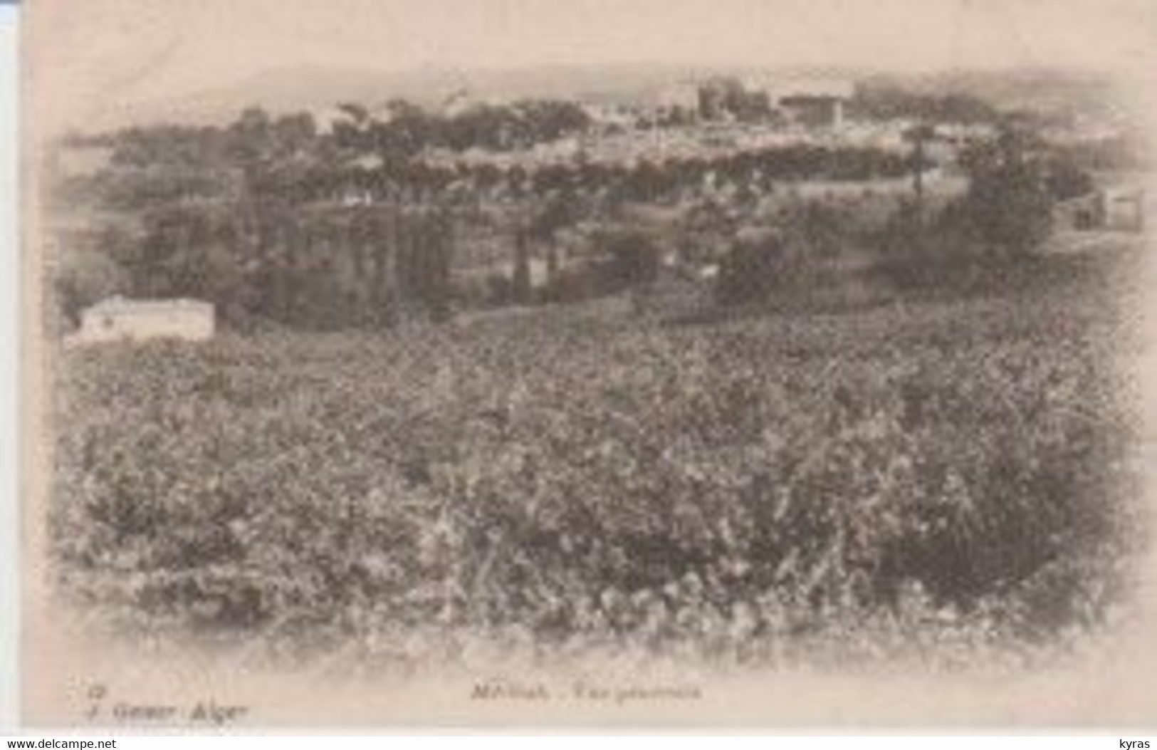 ALGERIE. J. GEISER N° 12 . MEDEAH. Vue Générale - Medea