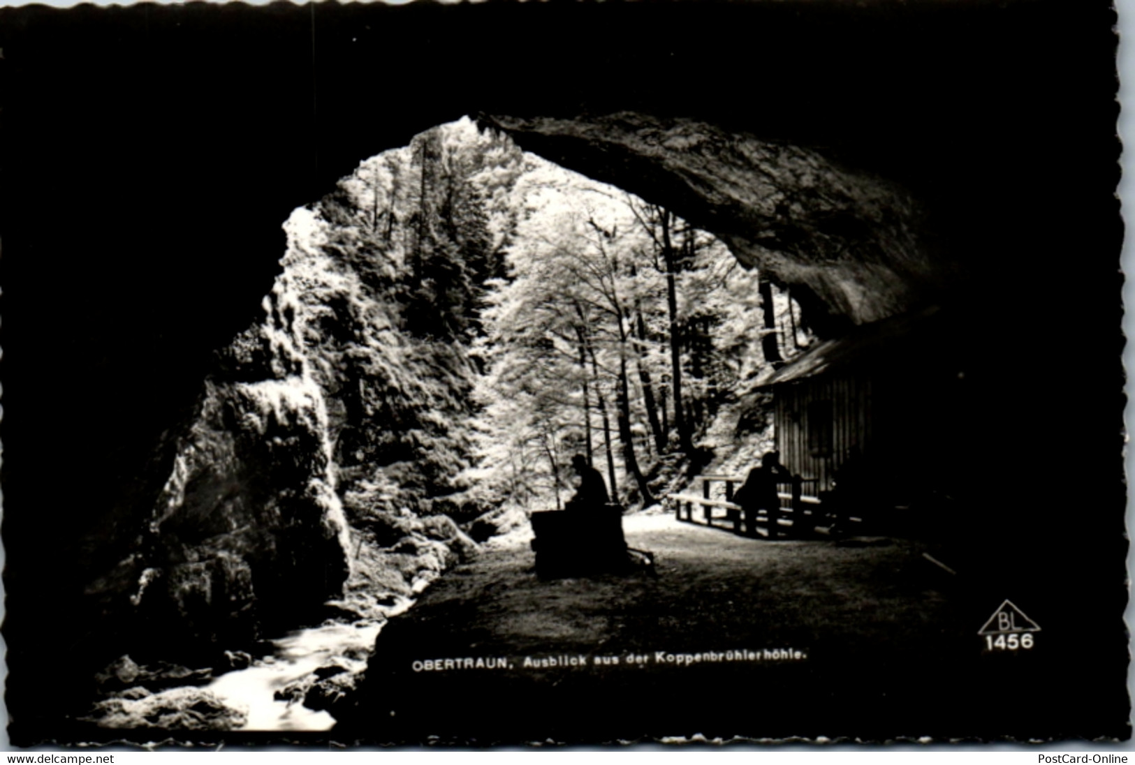 11773 - Oberösterreich - Obertraun , Ausblick Aus Der Koppenbrühler Höhle - Nicht Gelaufen - Traun