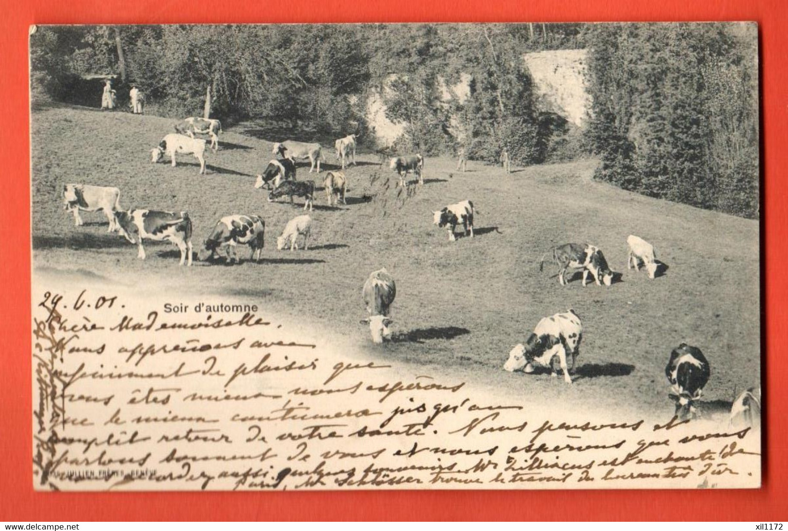 ZOY-24 Jura VAudois Troupeau De Vaches Soirée D'automne. Jullien. Dos Simple, Cachets Lausanne Et Chexbres 1901 - Chexbres