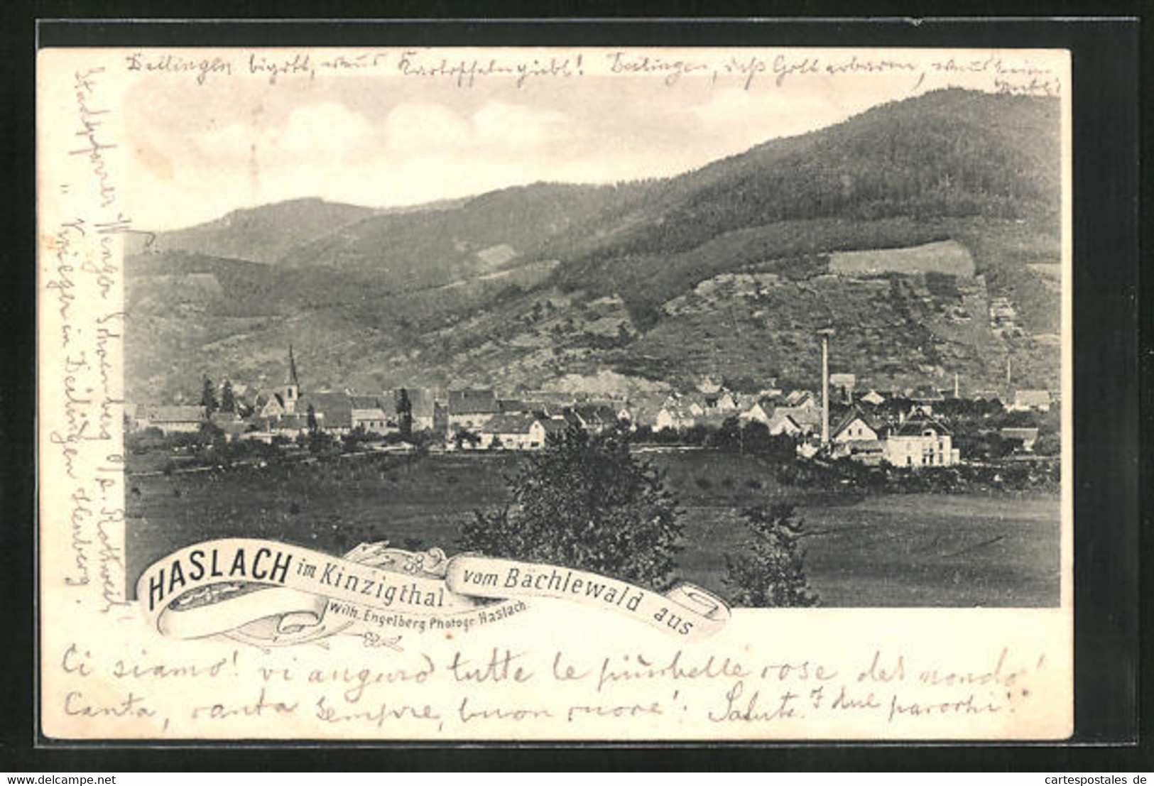 AK Haslach / Kinzigthal, Blick Vom Bächlenwald - Haslach