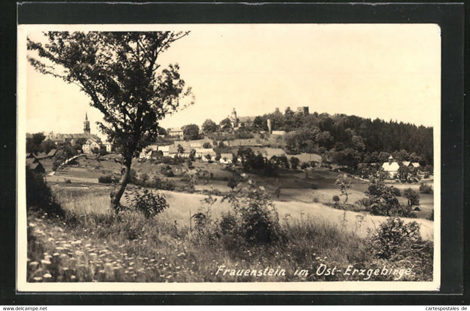 AK Frauenstein / Erzgebirge, Ortspanorama - Frauenstein (Erzgeb.)