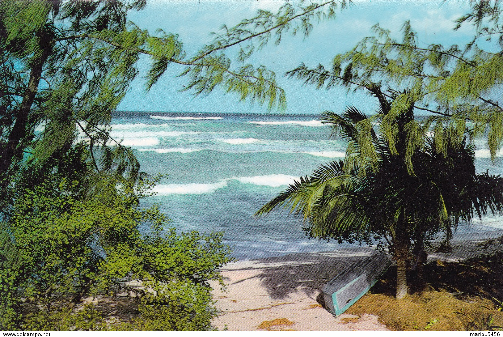 The Surf, Cayman Islands, B.W.I - Caimán (Islas)