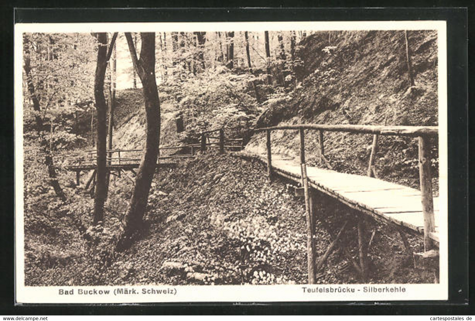 AK Bad Buckow (Märk. Schweiz), Teufelsbrücke-Silberkehle - Buckow