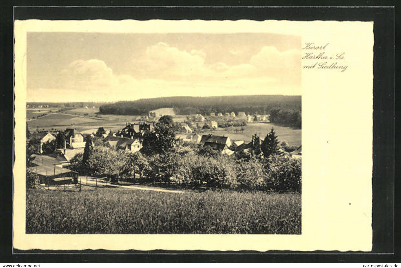 AK Hartha I. Sa., Blick Auf Die Kleine Siedlung - Hartha