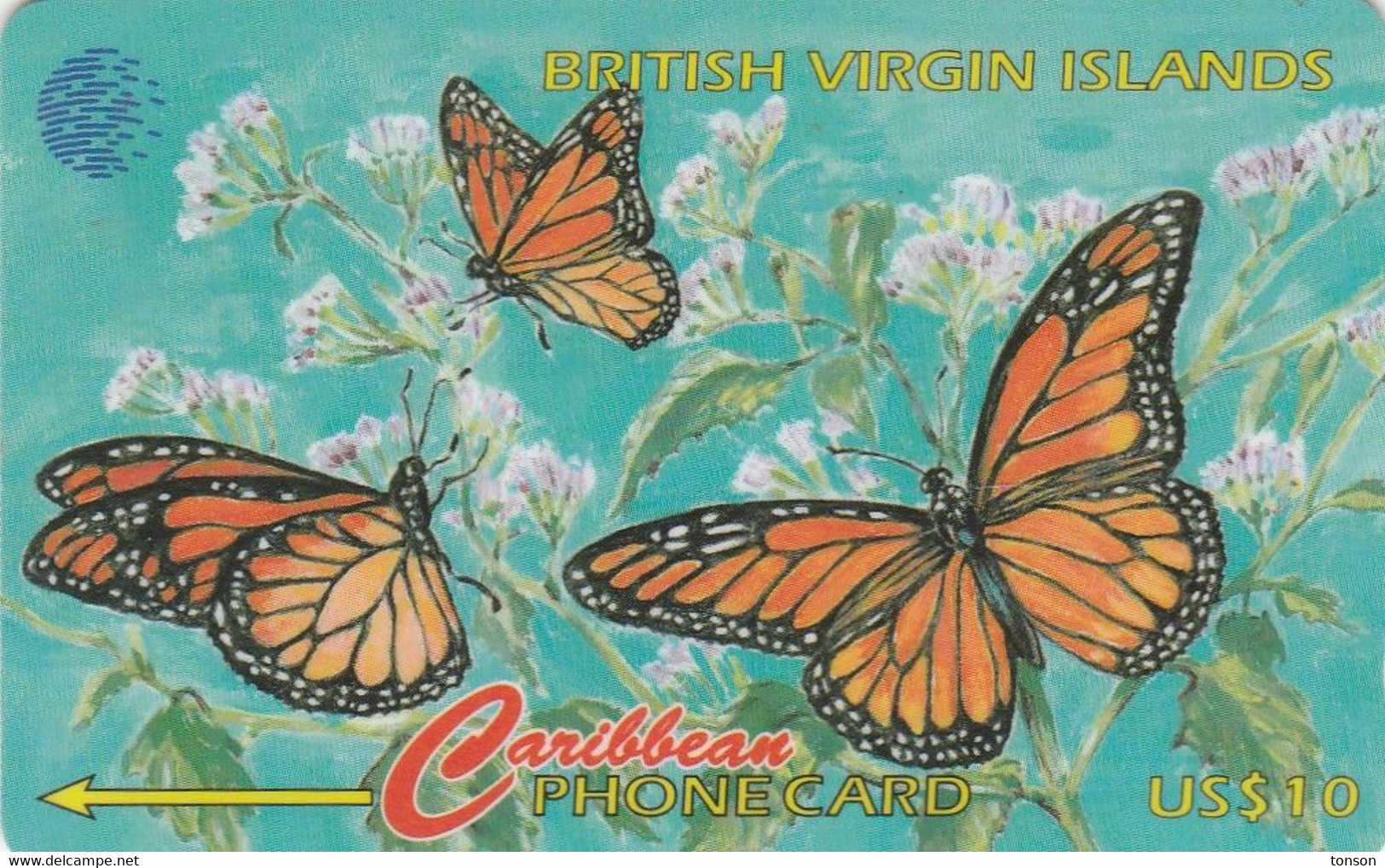 British Virgin Islands, BVI-91B, Butterfly,  2 Scans.   91CBVB - Vierges (îles)