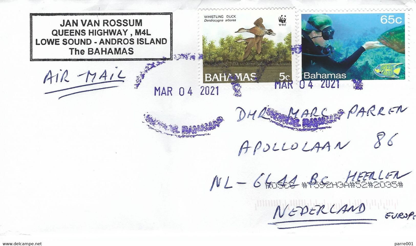 Bahamas 2021 Nicholl's Town WWF West Indian Whistling Duck Dendrocygna Arborea Grouper Reef Cover - Covers & Documents