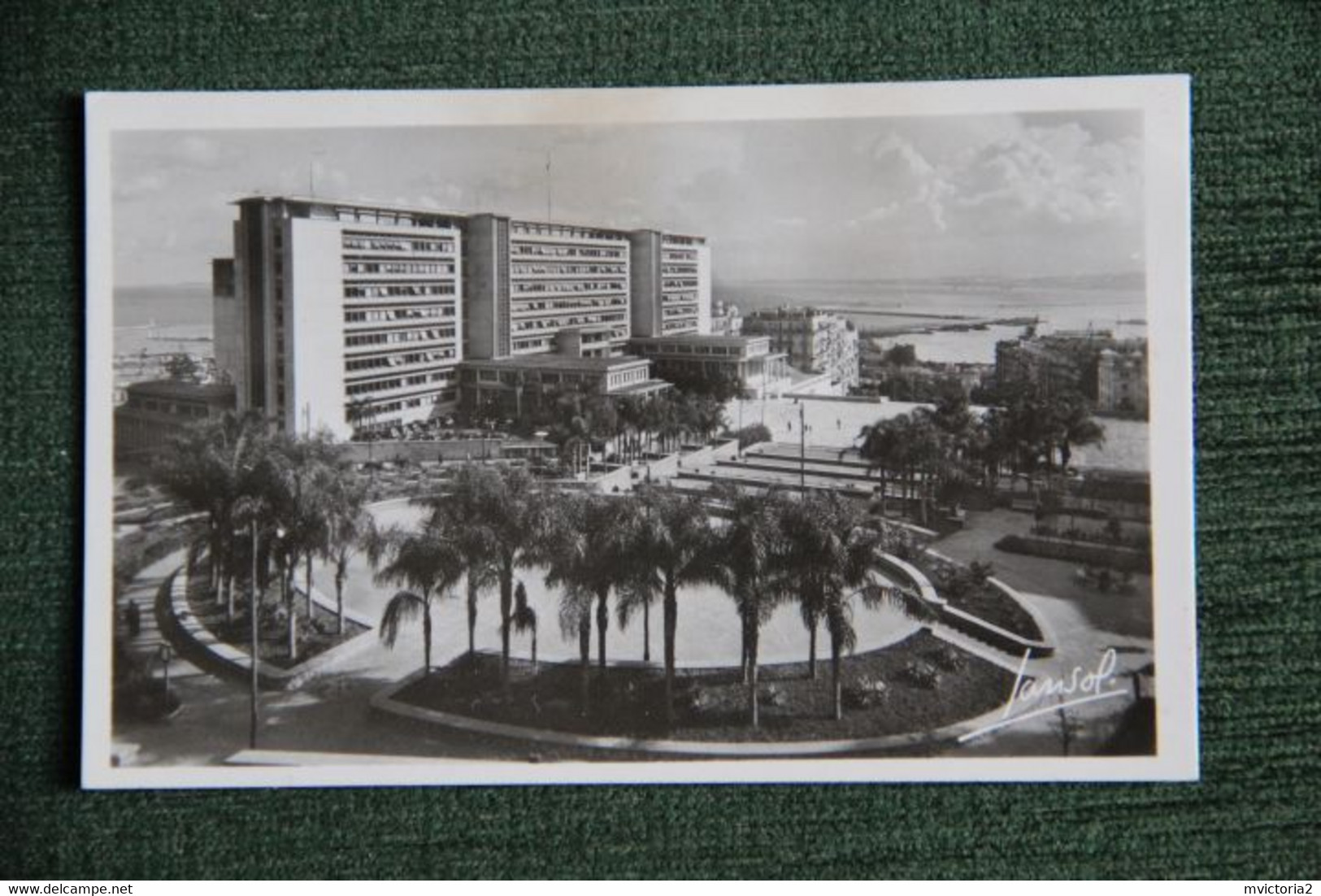 ALGER - Bureaux Du Gouvernement Général Et Ses Jardins. - Alger