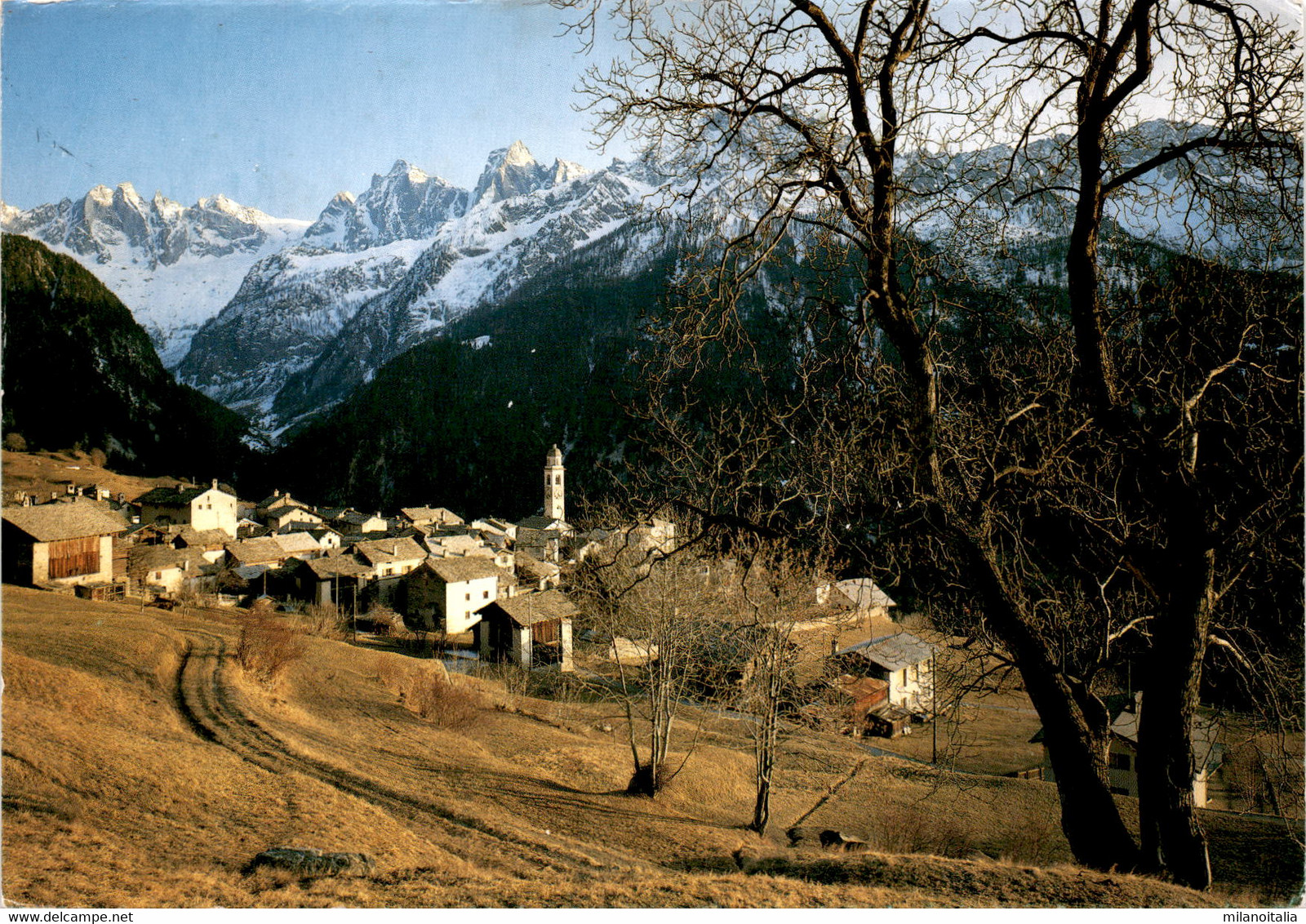 Soglio, Val Bregaglia (2909) * 30. 7. 1986 - Bregaglia