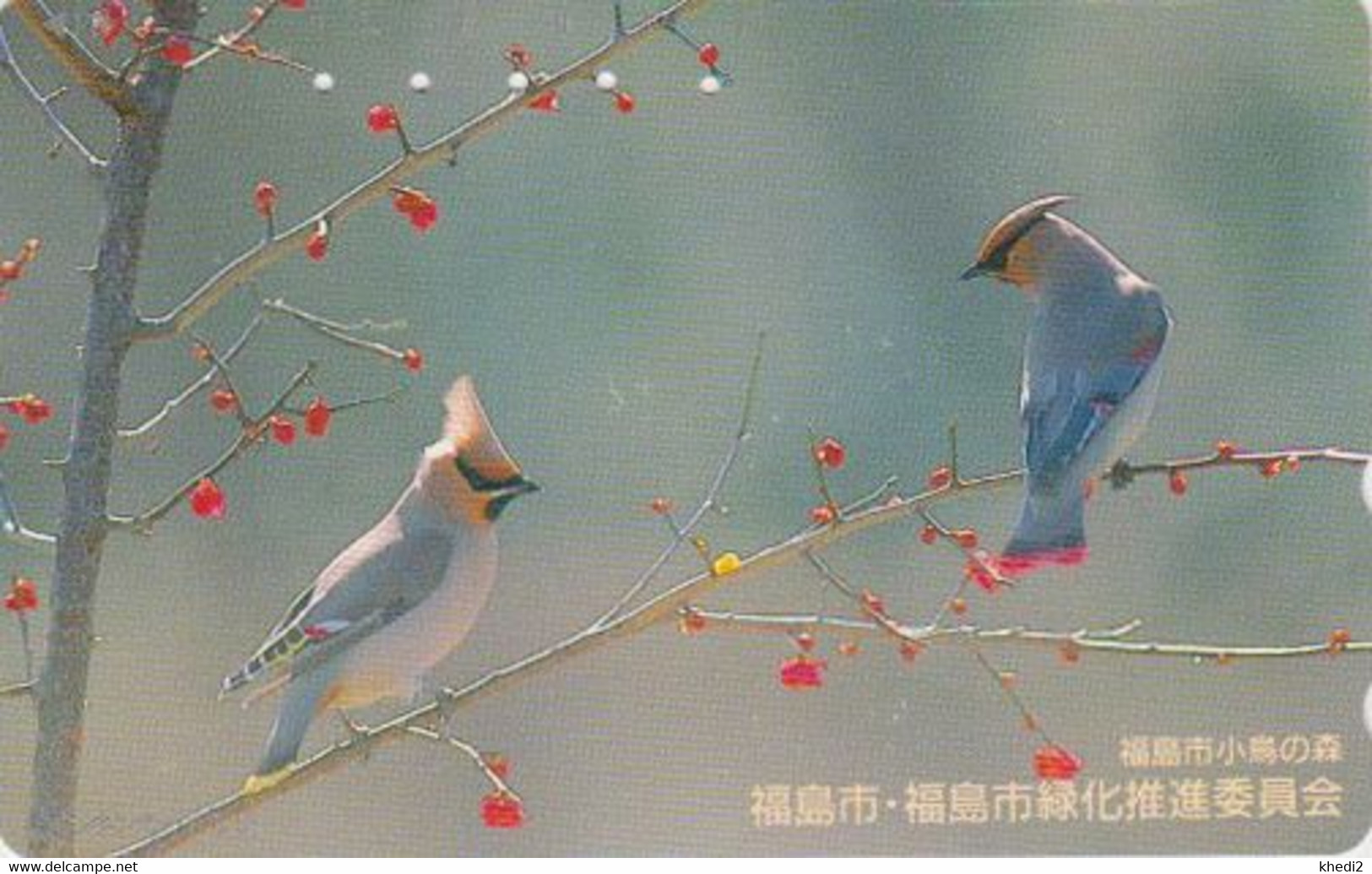 RARE TC JAPON / 410-11339 - ANIMAL - OISEAU - JASEUR BOREAL - BIRD JAPAN Free Phonecard - 5673 - Pájaros Cantores (Passeri)