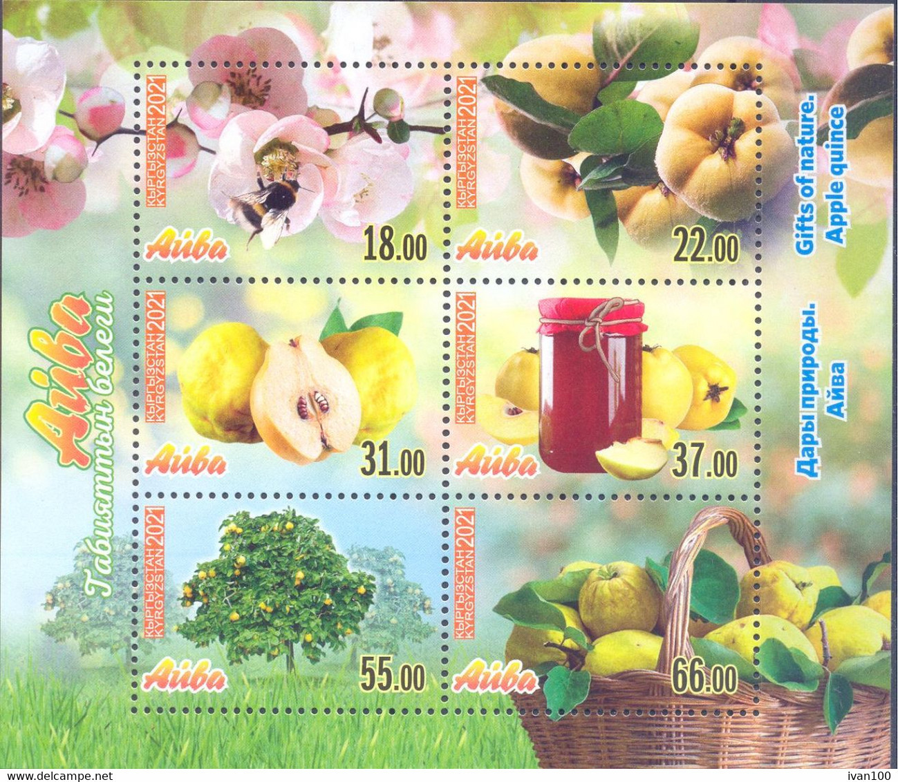 2021. Kyrgyzstan, Gifts Of Nature, Quince, S/s Perf, Mint/** - Kirgisistan