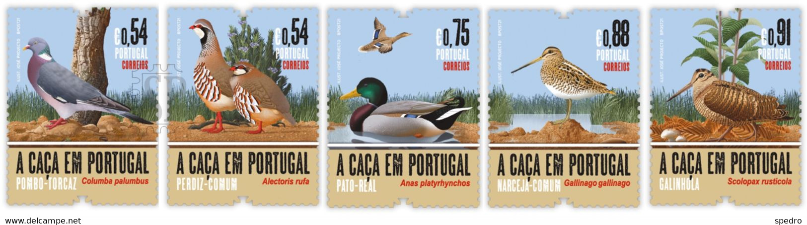 Portugal 2021 Caça Pato Real Duck Canard Perdiz Perdrix Partridge Narceja Galinhola Pombo Pigeon Fauna Faune Animal - Grey Partridge