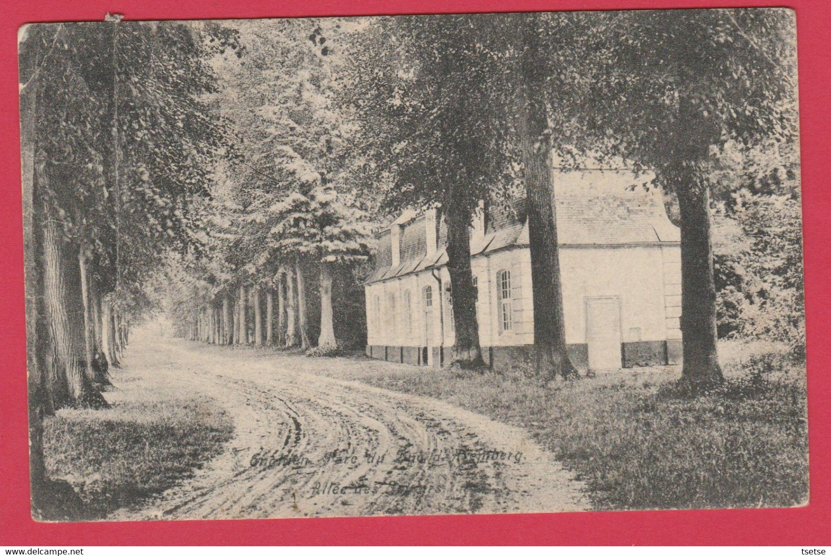 Enghien  - Parc ... Allée Des Soeurs ( Voir Verso ) - Enghien - Edingen