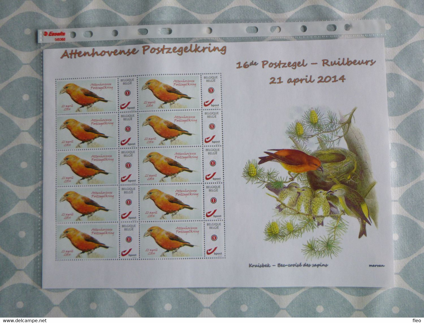 BELG.2014 : DUOSTAMP** / MY STAMP** - Oiseaux / Vogels / Vögel / Birds - Kruisbek/Bec Croisé Des Sapins- BUZIN - 1985-.. Vogels (Buzin)