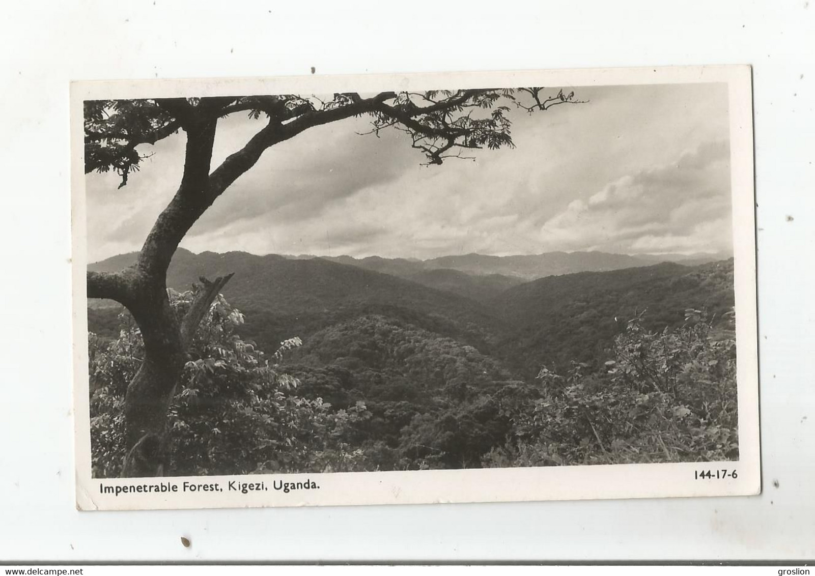 UGANDA 144-17-6 IMPENETRABLE FOREST . KIGEZI - Oeganda