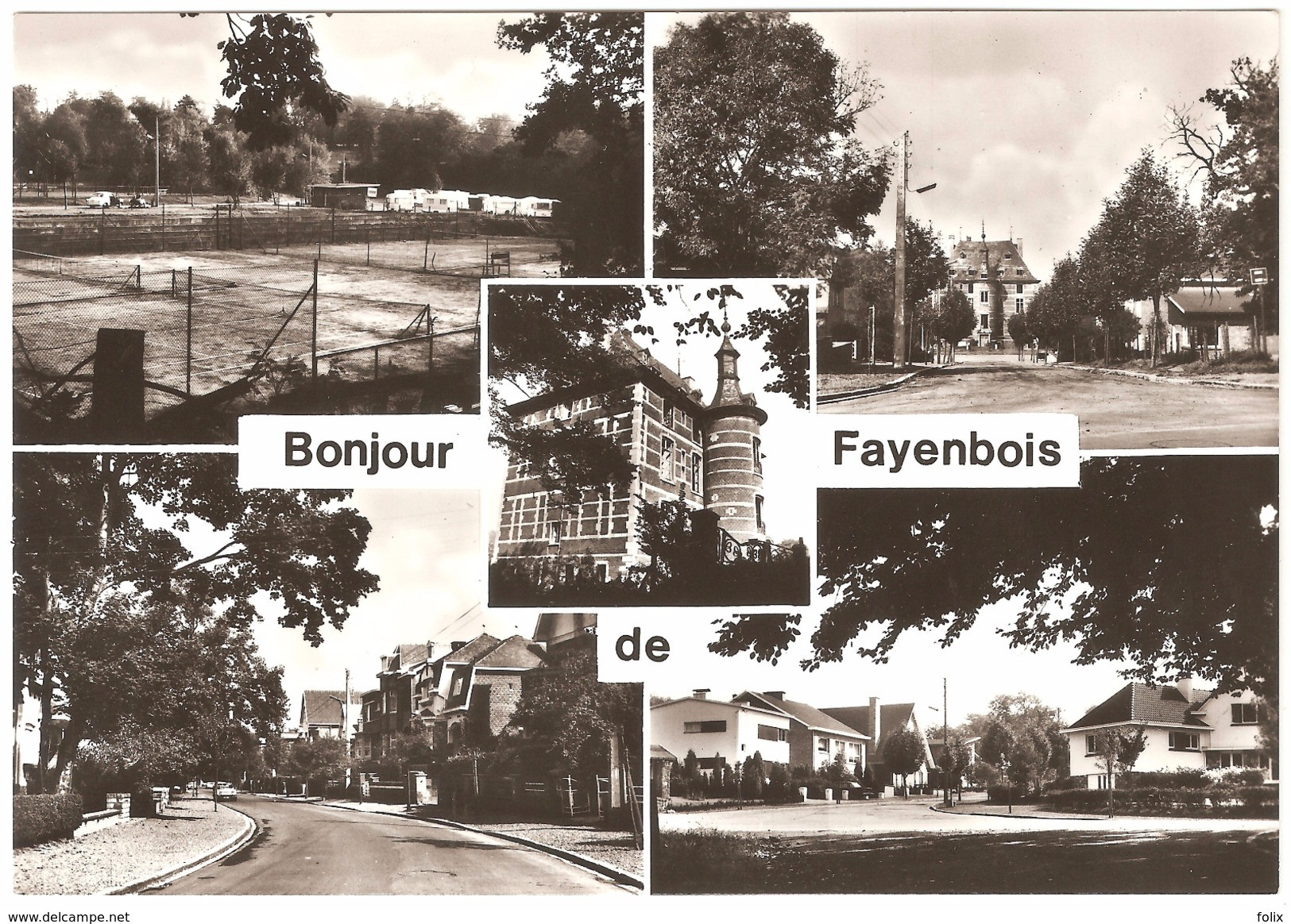 Bonjour De Fayenbois - Photo Véritable - Multivues - Ed. Droguerie Bernard - Beyne-Heusay