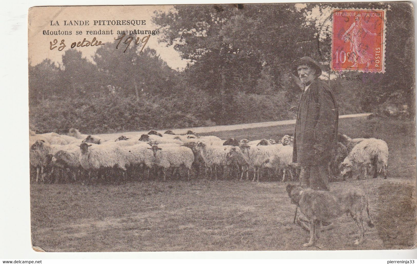 Carte Berger/ Moutons Et Cachet "Hôpital  Complémentaire N°20 Sanatorium Marin Capbreton" / Asile Ste Eugénie - Covers & Documents