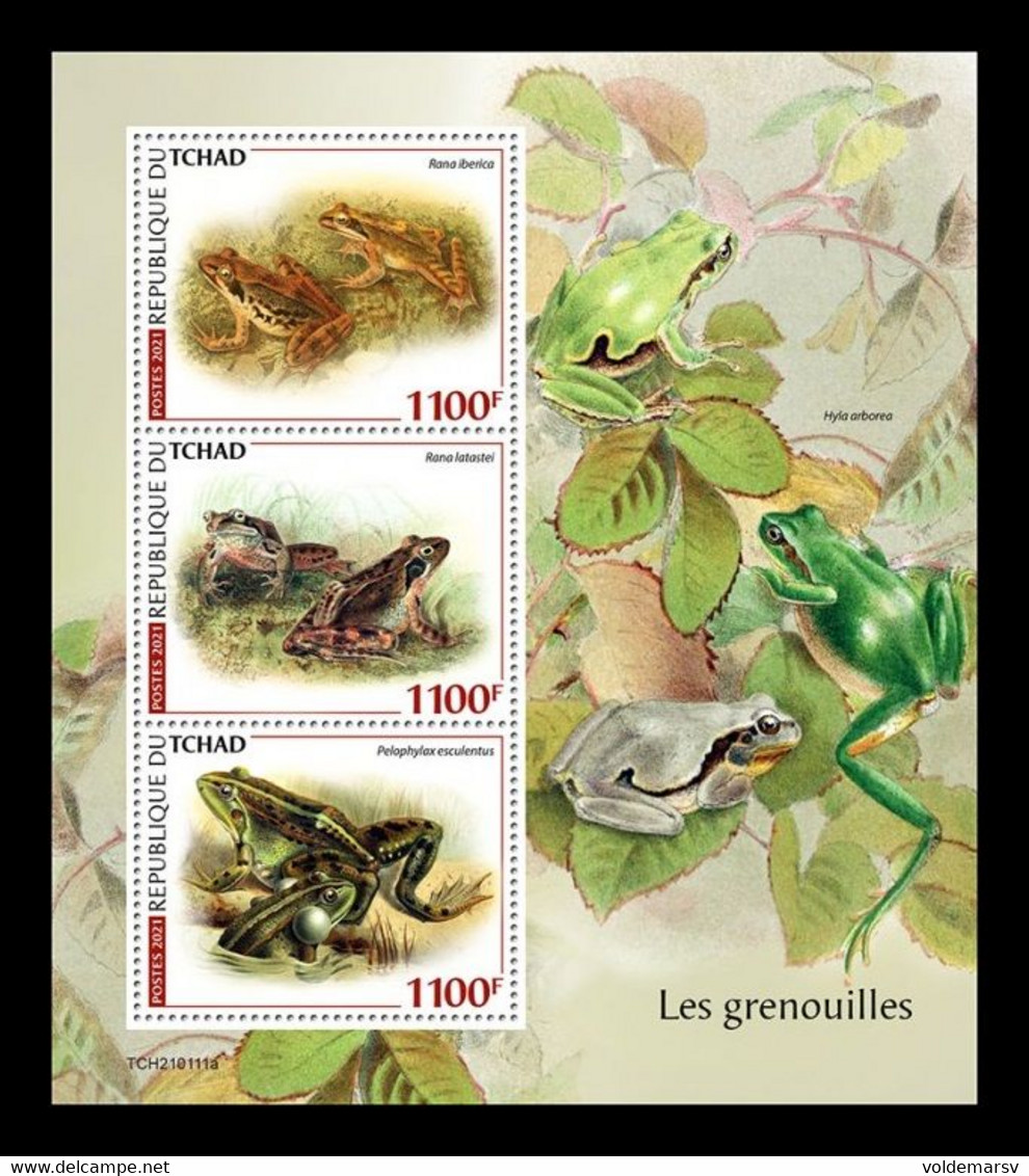 Chad 2021 Mih. 4414/16 Fauna. Frogs MNH ** - Chad (1960-...)