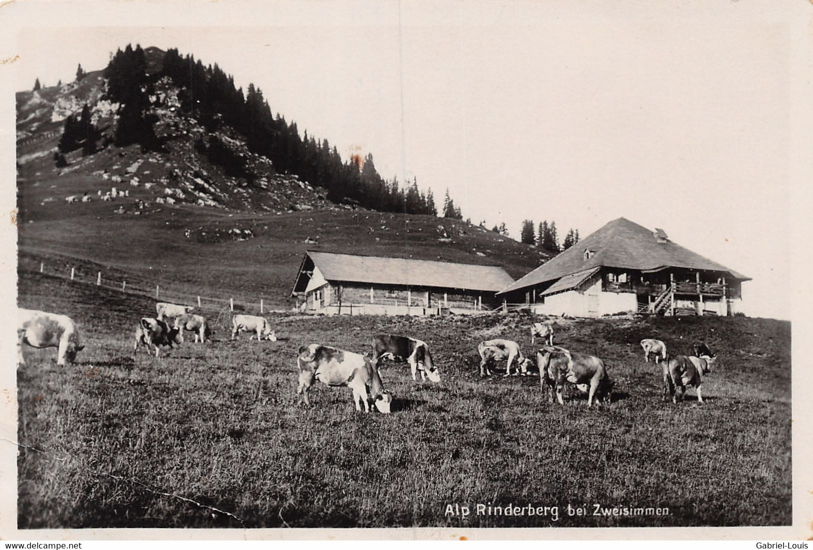 Alp Rinderberg Bei Zweisimmen ( Plis D'angle) - Zweisimmen