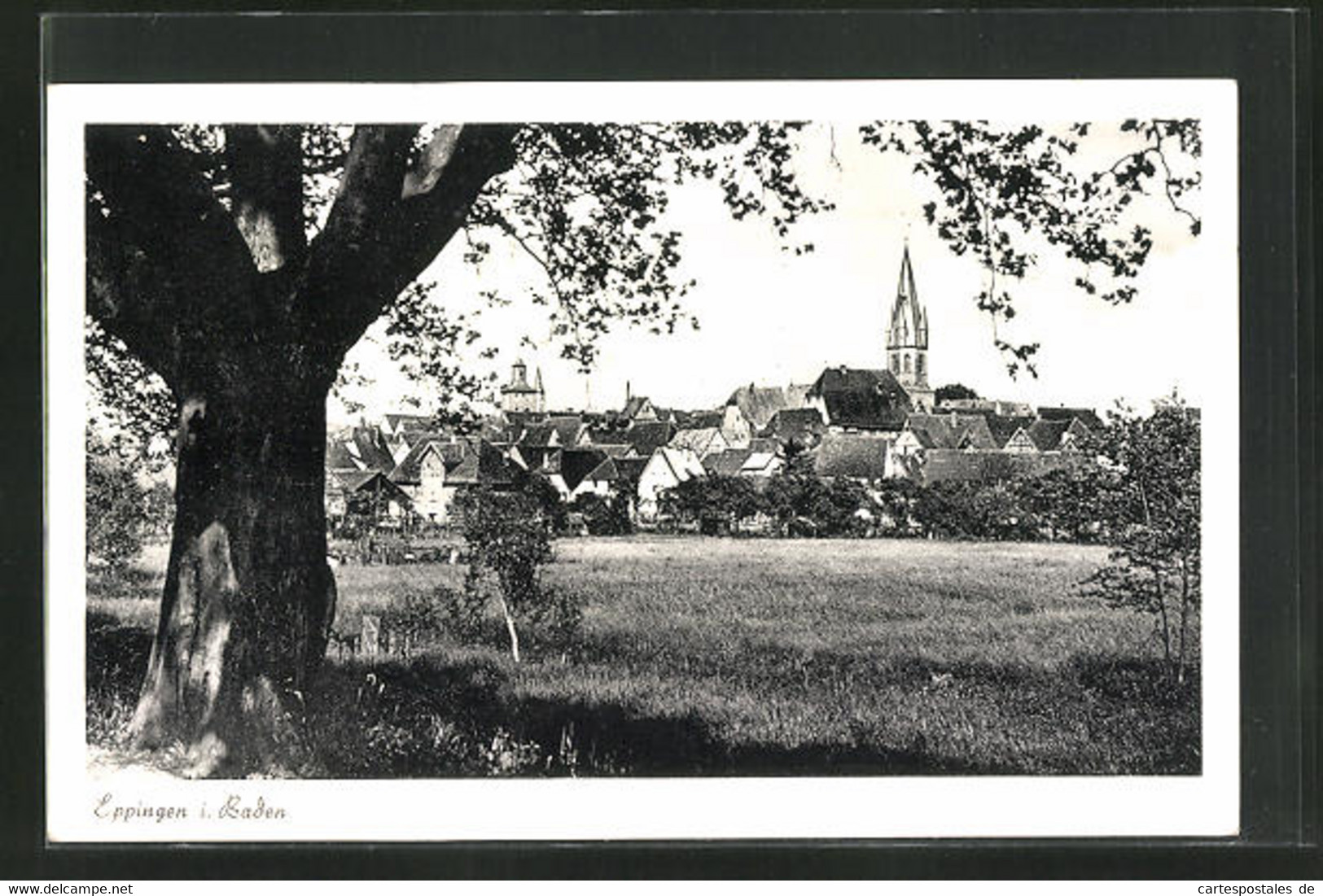 AK Eppingen I. Baden, Gesamtansicht Mit Kirchturm Aus Dem Walde - Eppingen