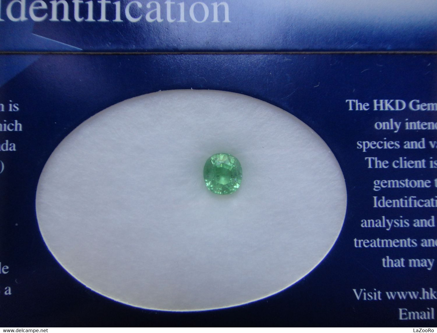 LaZooRo: Tsavorite 1.17ct - Certificate - Other & Unclassified