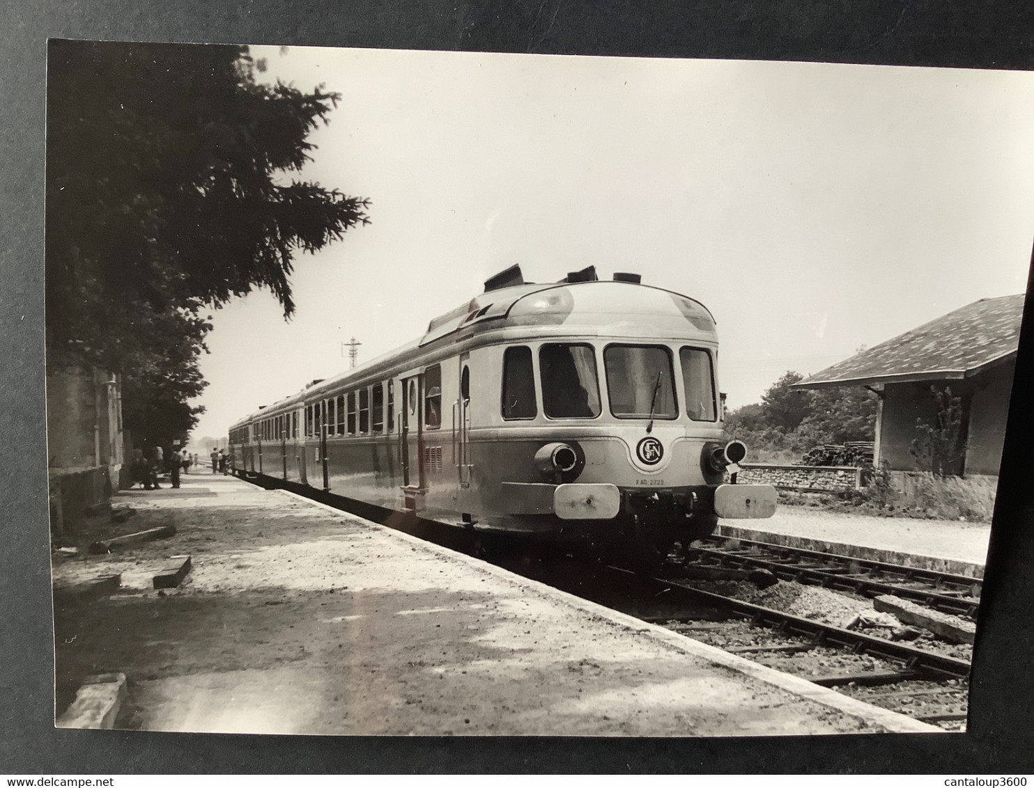 Photographie Originale De J.BAZIN :Rame  RGP à MARIGNY -Les- USAGES , Ligne ORLEANS- MALESHERBES  En 1967 - Trenes