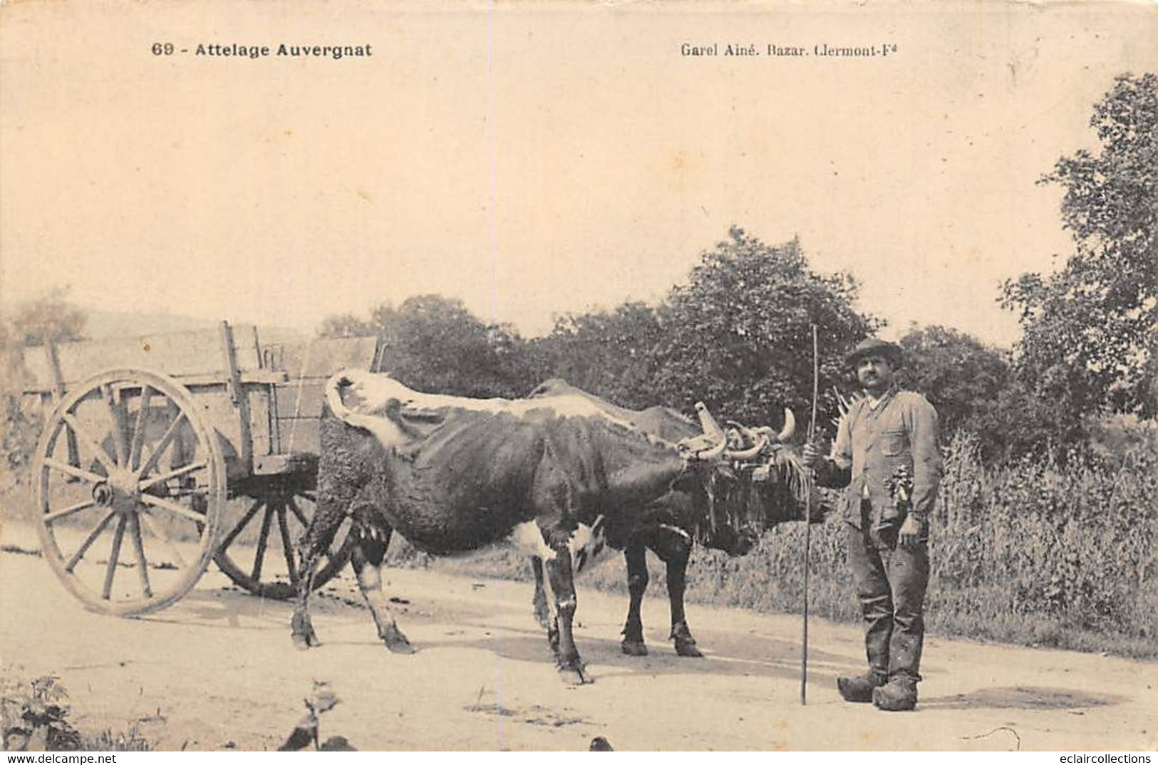 Divers Auvergne     63        Attelage Auvergnat       N° 69    (voir Scan) - Auvergne Types D'Auvergne