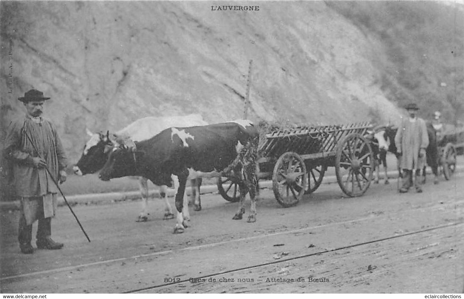 Divers Auvergne     63         Gens De Chez Nous Attelage De Bœufs       N° 8012    (voir Scan) - Auvergne Types D'Auvergne