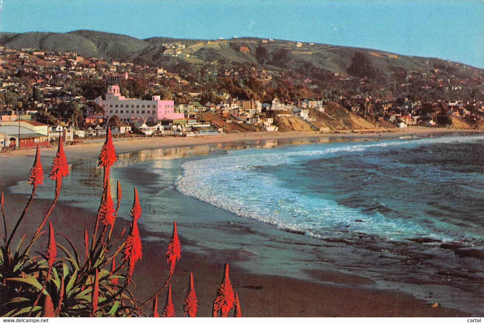 LAGUNA BEACH, CALIFORNIA - At Christmastime, Aloes Bordering Colorful Heisler Park - Santa Ana