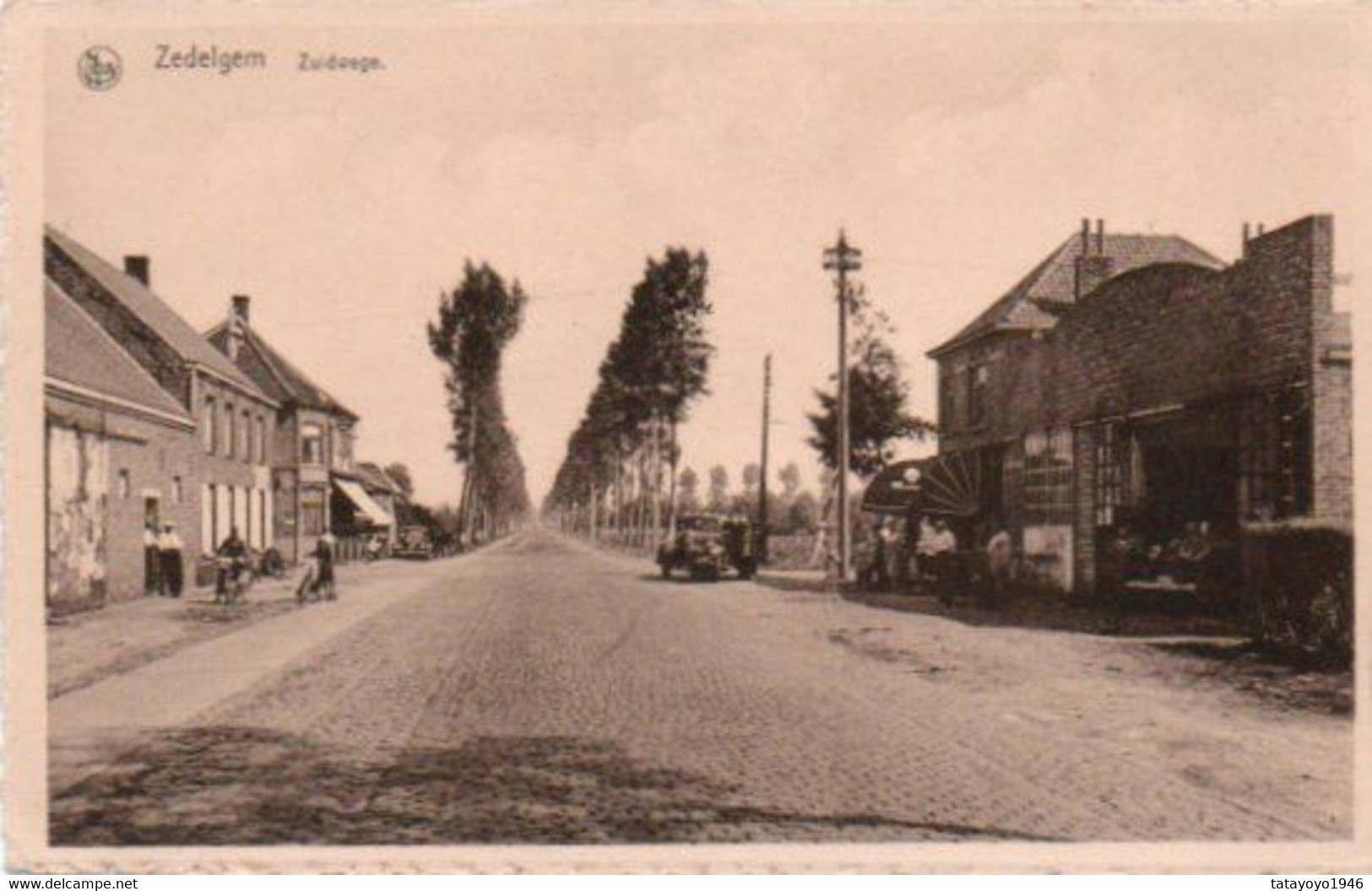 Zedelgem   Zuidwege  Old Timer Cycliste Bien Animée Carte Festonnée N' Pas Circulé - Zedelgem