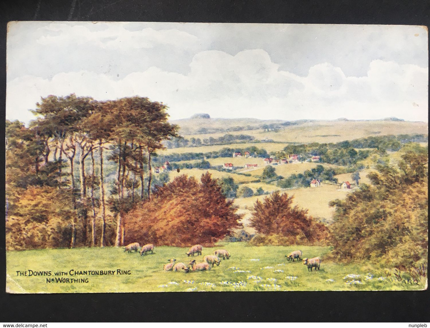 WORTHING - The  Downs With Chantonbury Ring Nr. Worthing - 1950 - Salmon 3814 - Worthing