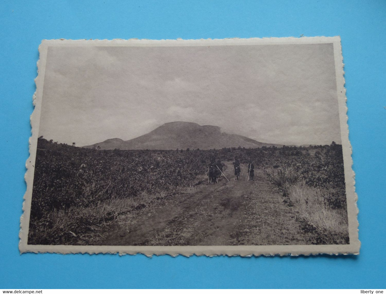 PARC NATIONAL ALBERT Volcan Nyamuragira Congo Belge - Série XIV ( Carnet De 10 Cartes ) Anno 19?? ( See / Voir Foto ) ! - Lubumbashi