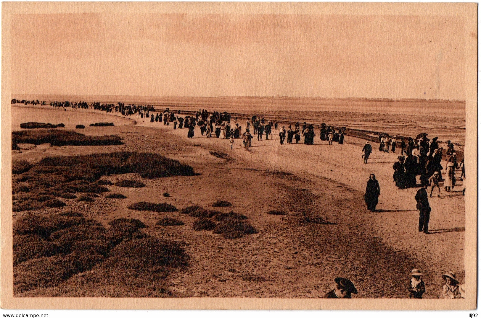 CPSM PF 17 - PORT Des BARQUES (Charente Maritime) - Route De L'Île Madame - Autres & Non Classés