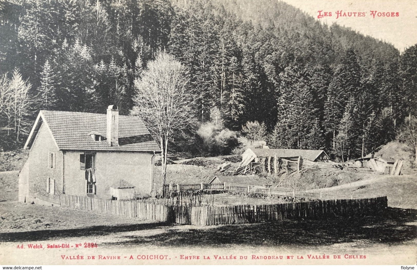 Senones - La Scierie A COICHOT - Métier Bois - Vallée De La Ravine - Village Hameau - Senones