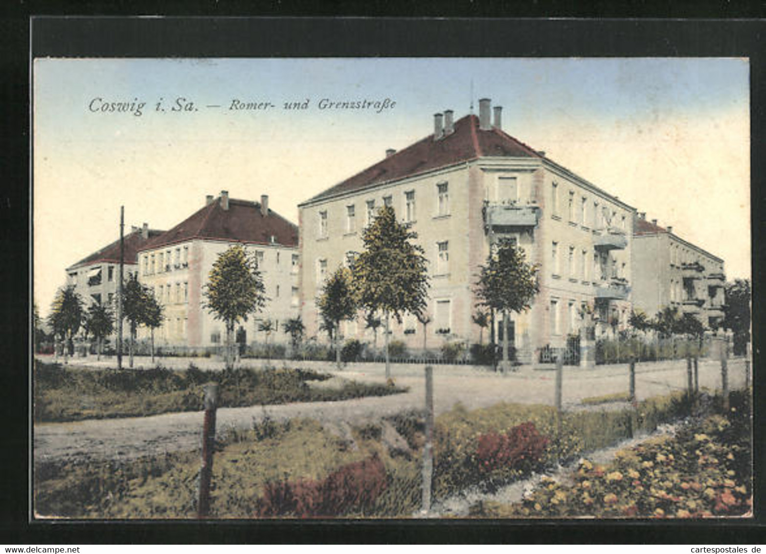 AK Coswig I. Sa., Romer- Und Grenzstrasse Mit Bäumen - Coswig