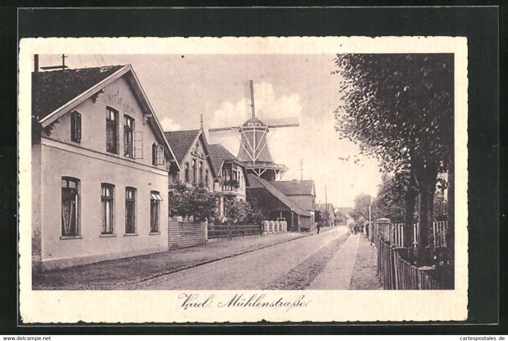 AK Varel I. O., Mühlenstrasse Mit Windmühle - Varel