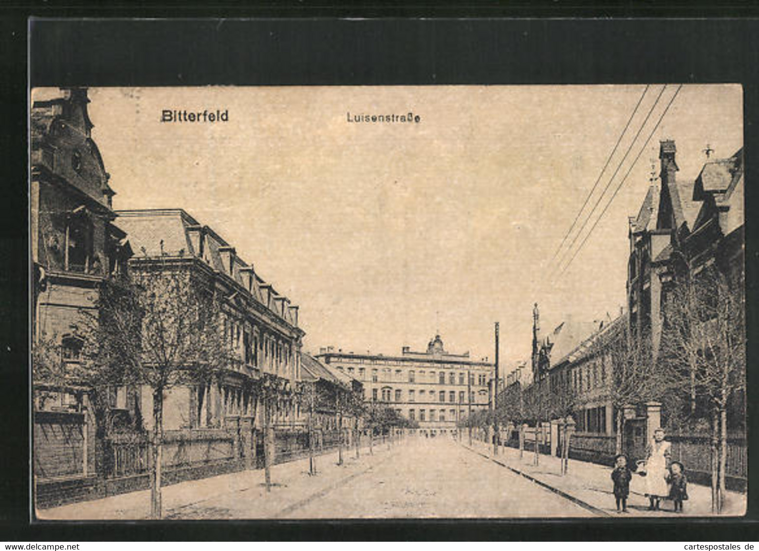 AK Bitterfeld, Partie An Der Luisenstrasse - Bitterfeld